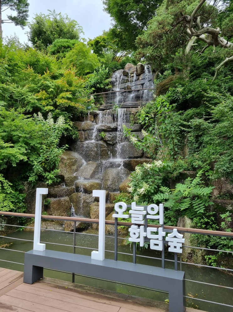  흐린 날의 화담숲... 가벼운 산책...