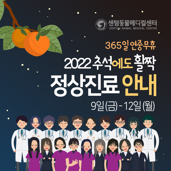  2022 추석연휴 정상진료 안내 (센텀동물메디컬센터/부산연중무휴동물병원/강아지고양이입원)