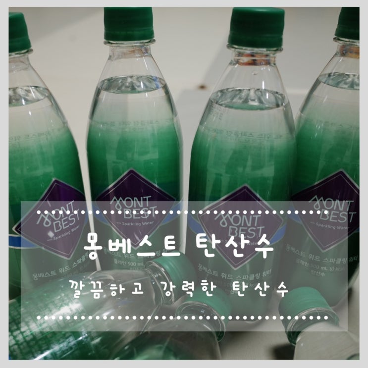  깔끔하고 강력한 탄산수 몽베스트 위드 스파클링워터 플레인