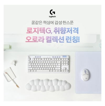  9월 6일 캐시워크 돈버는퀴즈 로지텍 오로라 컬렉션 정답