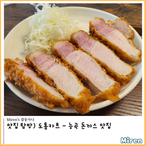  맛집 탐방) 도톰카츠 - 능곡 돈까스 맛집
