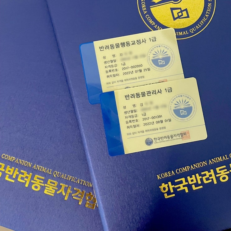  [블챌] 자격증 취득하기-반려동물관리사1급/ 반려동물행동교정사1급