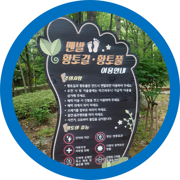  황토길 구미휴양림 구미가볼만한곳 연악산 맨발로걷다만난 두꺼비