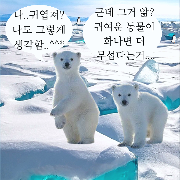  유명한 시, 좋은 외국시 추천 : 헤르만 헤세 "눈 속의 나그네"  ,오늘의 유명한 짧은 인생명언.감동명언 , 좋은 짧은 행복 감성 글귀, 웃긴짤,동물말풍선짤,말풍선 짤