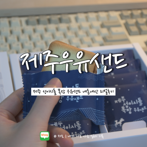  제주도 여행 기념품 | 제주 성이시돌 우유샌드 내돈내산 리얼후기