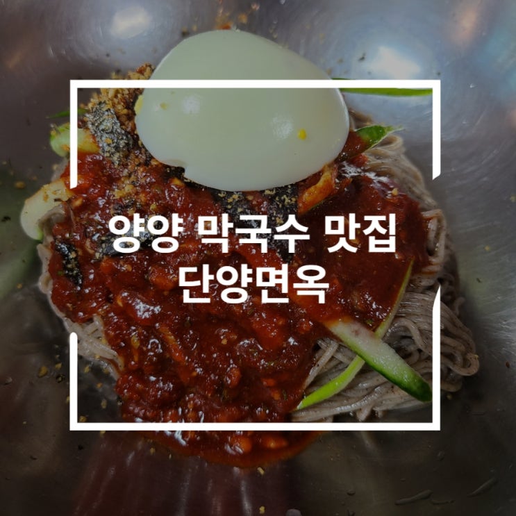  양양 막국수 맛집 단양면옥에서 가자미회비빔막국수와 수육먹기