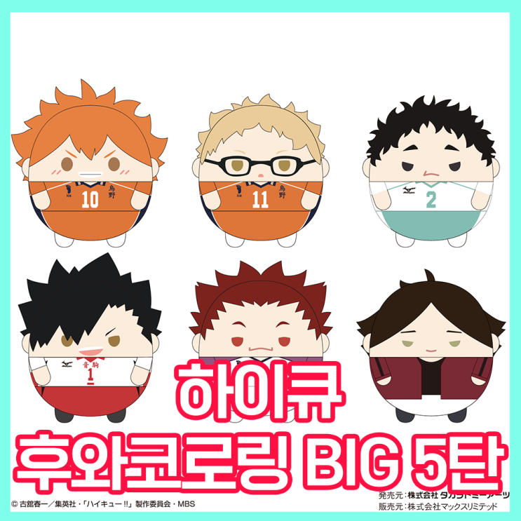  [하이큐!!] 후와코로링 BIG 5탄