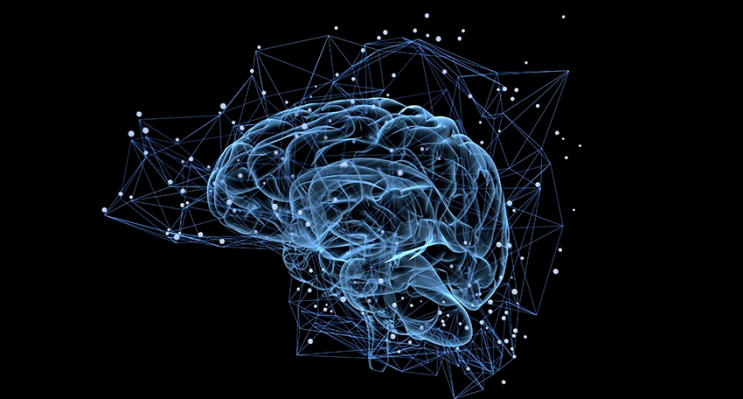 Part6 - 신경계와 그 중심에 있는 뇌