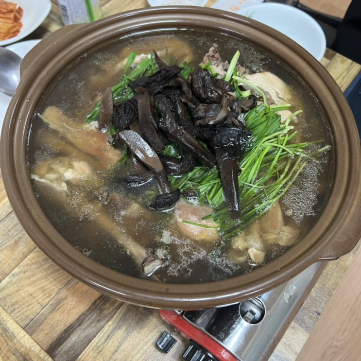  대구도원동수밭골맛집 두레박식당에서 한방백숙먹어요