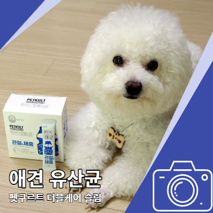 애견 유산균 펫쿠르트 한국야쿠르트 반려동물 강아지 유산균 애견 유산균 펫쿠르트 한국야쿠르트 반려동물 강아지 유산균