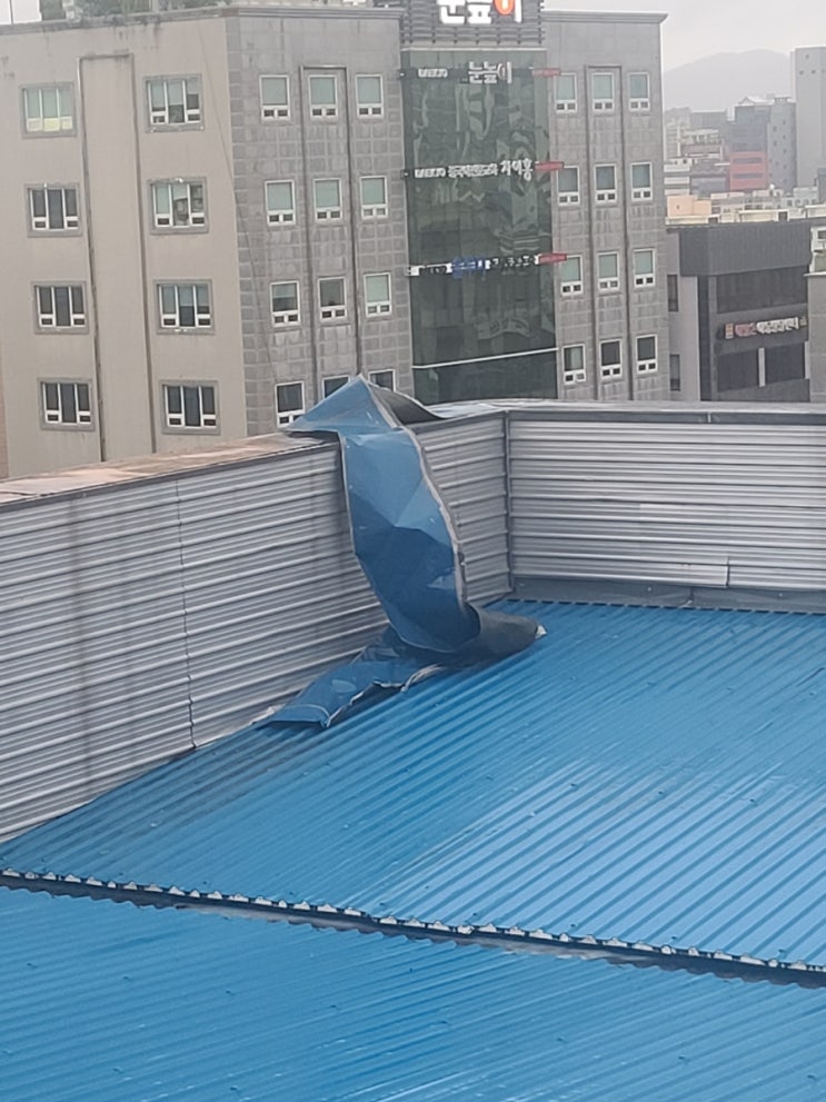  태풍 다들 괜찮으신가요?