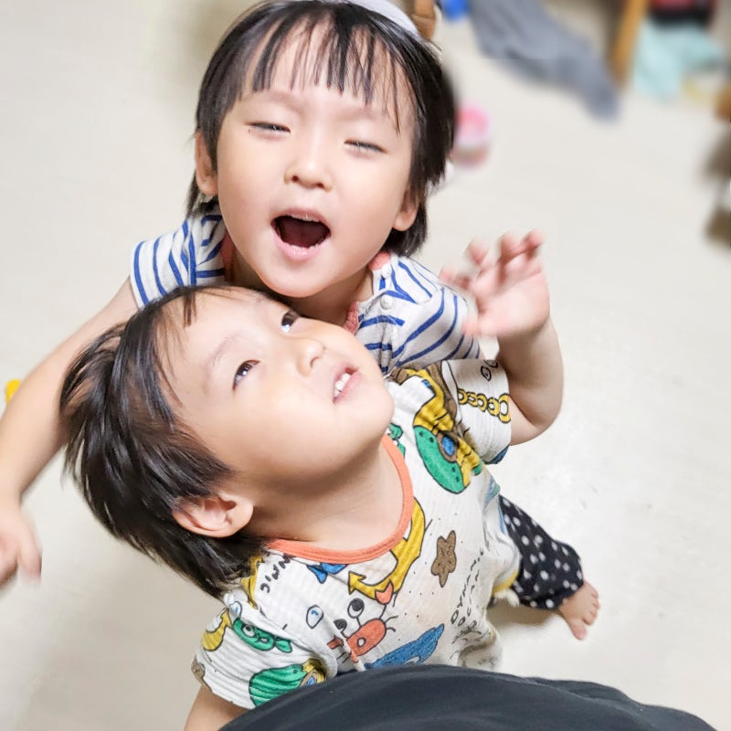 일란성 이란성쌍둥이 성별, 차이점 : 네이버 블로그 일란성 이란성쌍둥이 성별, 차이점 : 네이버 블로그