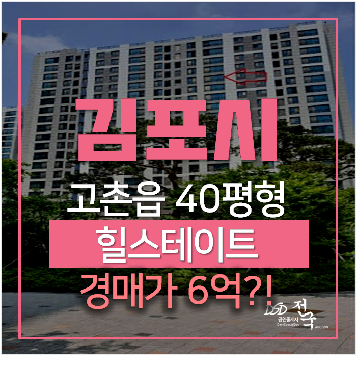 김포아파트경매 고촌 김포힐스테이트 40평형 한강 인근 6억 ! 김포아파트경매 고촌 김포힐스테이트 40평형 한강 인근 6억 !