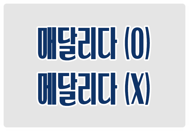 헷갈리는 맞춤법 매달리다 O 메달리다 X 금메달 은메달 생각하기