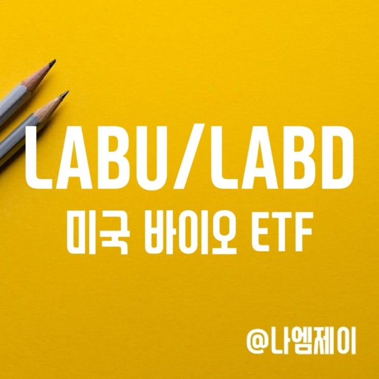 미국 3배 레버리지 인버스 바이오 ETF LABU LABD - 장기투자? (변동성 침식) 미국 3배 레버리지 인버스 바이오 ETF LABU LABD - 장기투자? (변동성 침식)