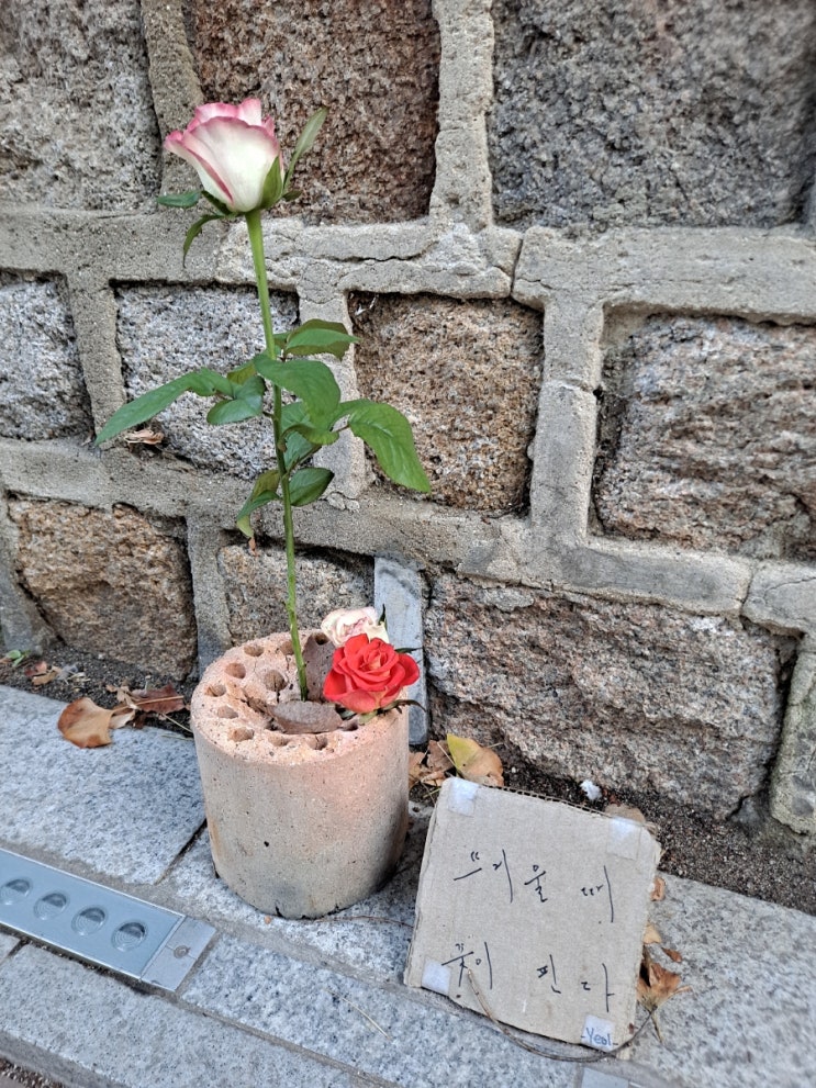  난 언제 뜨거웠었나..