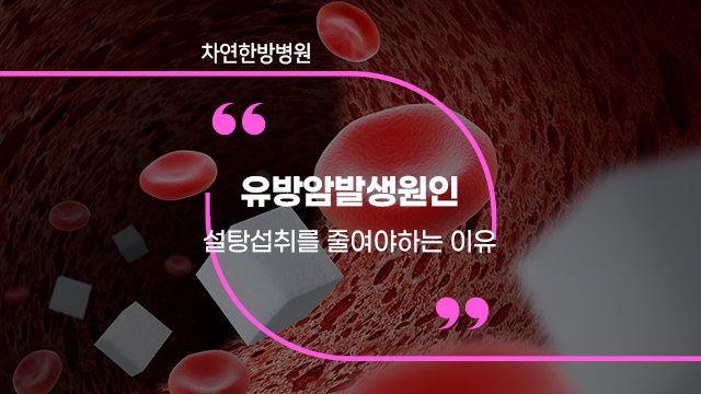  유방암발생원인 설탕 섭취를 줄여야 하는 이유