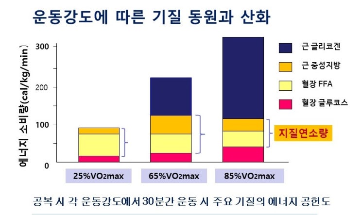  다이어트에 좋은 운동은 유산소운동? 운동강도와 지질연소량, 고강도인터벌운동