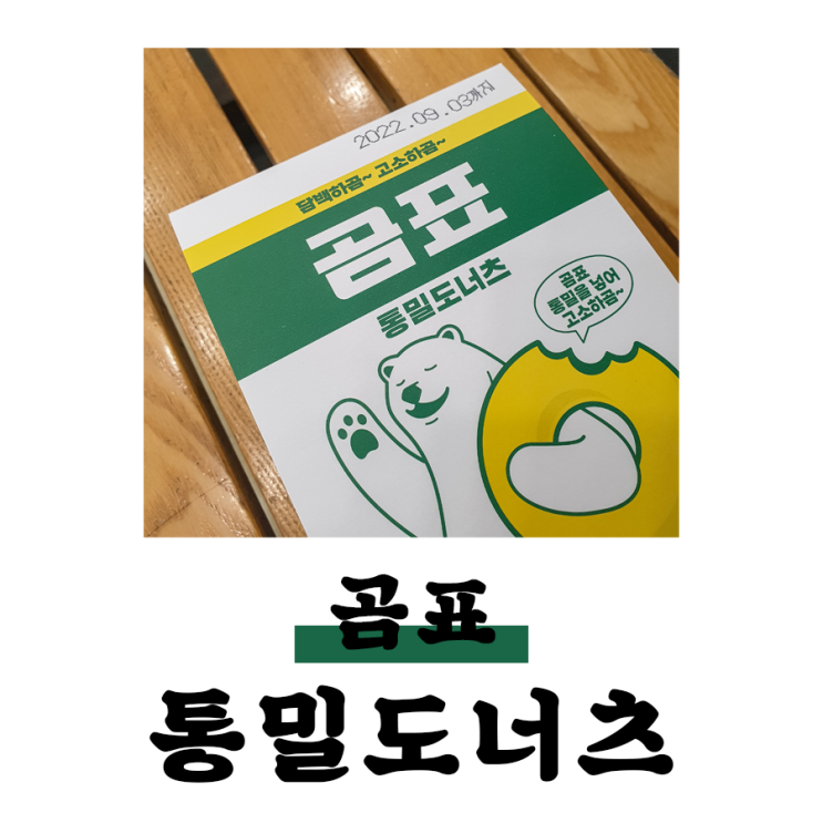 곰표 통밀 도너츠 // 이 집은 도넛도 잘 하네