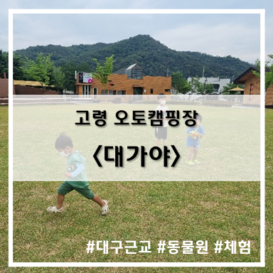 [3rd 캠핑] '22. 6월 4일~5일 고령 대가야 C-25사이트