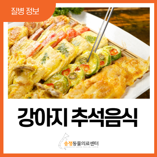  추석 강아지 먹으면 안되는 음식, 먹어도 좋은 음식 (feat.추석진료가능 동물병원)