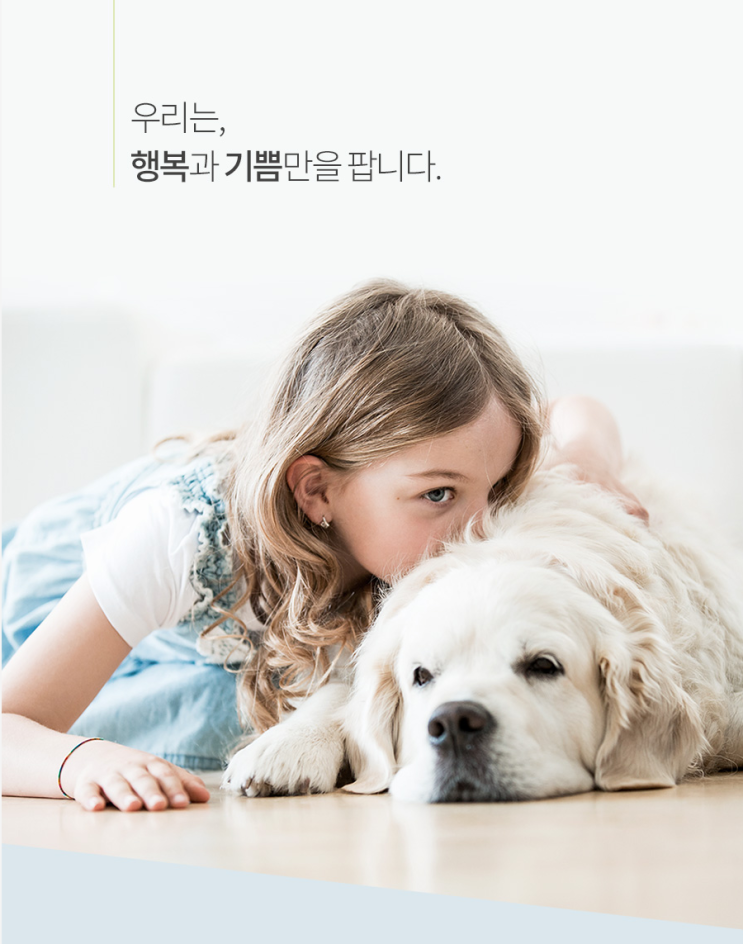  소중한 반려동물을 위한 사료, 물 급여기 상세페이지 만들기
