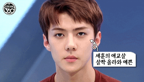 [EXO/Sehun] 1. Dokgo 4th Anniversary Reunion 2. Oh Sehun's Physiognomy - Sehun's Handsome Philtrum, a Philtrum Full of Understanding, and Talent...