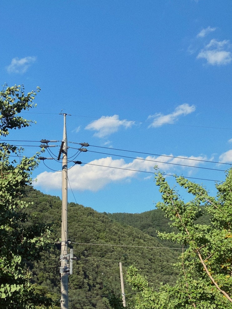  으오어어