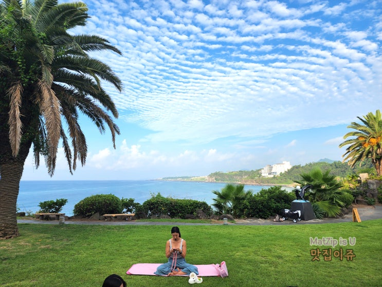  제주 서귀포 중문 바다와 하늘보면서 즐기는 아침 모닝요가 '다나요가' 후기