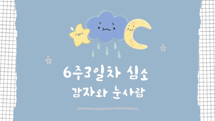  [난임일기 #19] 감자와 눈사람 시험관 시술 - 5주 4일차 ~ 6주 3일차 다이아반지 & 심장소리 듣고 온 날