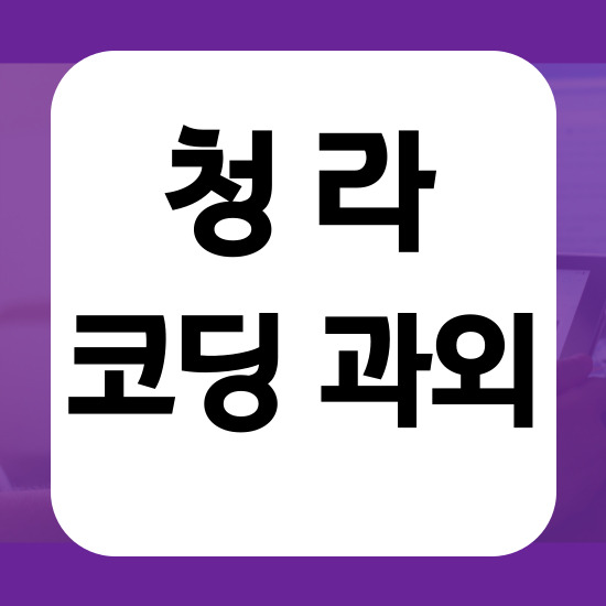  청라 국제도시 코딩과외 초등 중등 코딩학원 중학생 일대일 기초부터