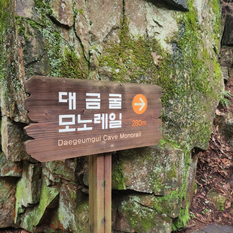 [강원도삼척여행] 삼척의 대표 관광지 동굴탐험 " 대금굴 "