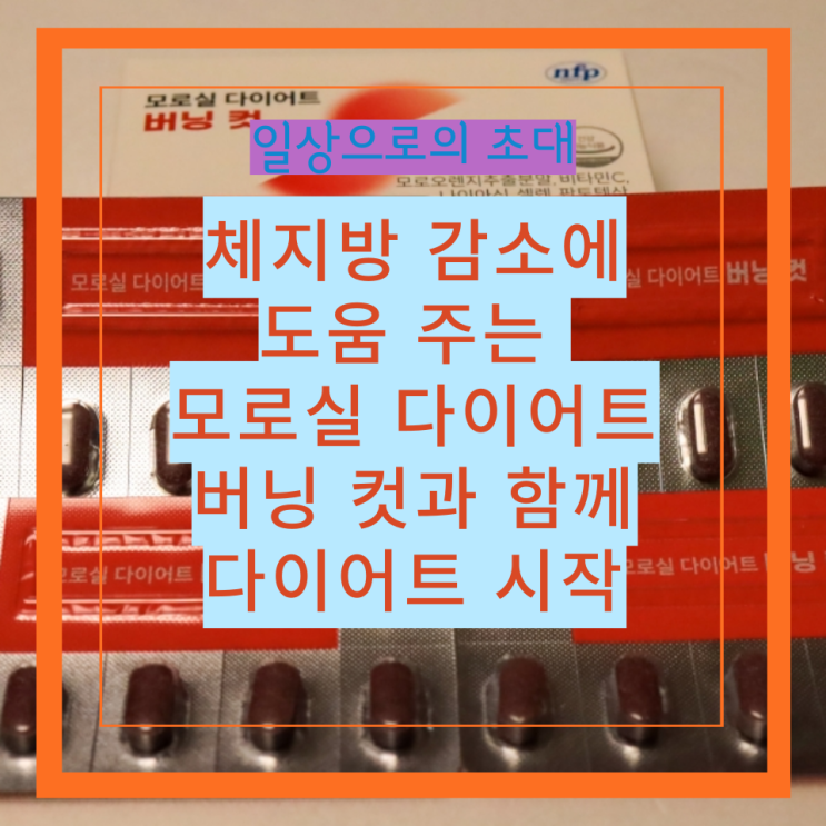  체지방 감소에 도움 주는 모로실 다이어트 버닝 컷과 함께 다이어트 시작