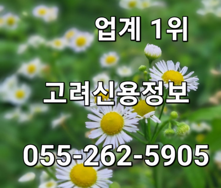  받아야 할 채권은 전문가에게 맡겨야 하는 이유