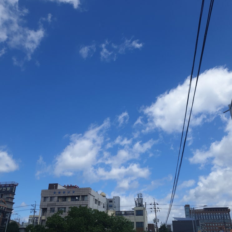  주간일기 챌린지 (09.07)-mt, 한전 kdn 멘토링