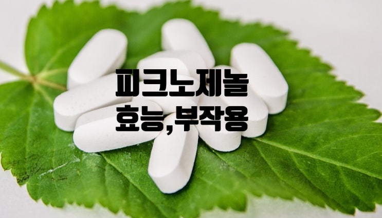  피크노제놀 효능 부작용 알아보아요