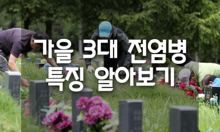  '가을 3대 전염병' 특징 알아보기