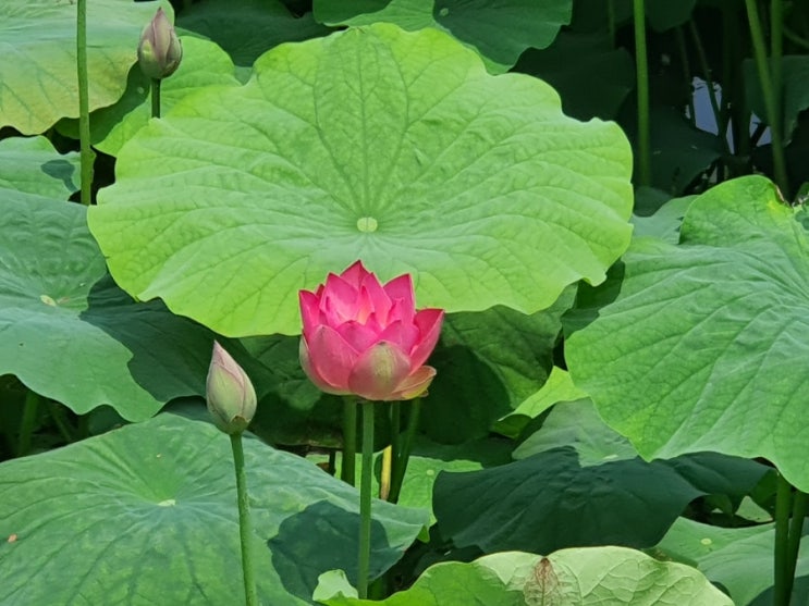 태풍 힌남노 피해   엄청나다