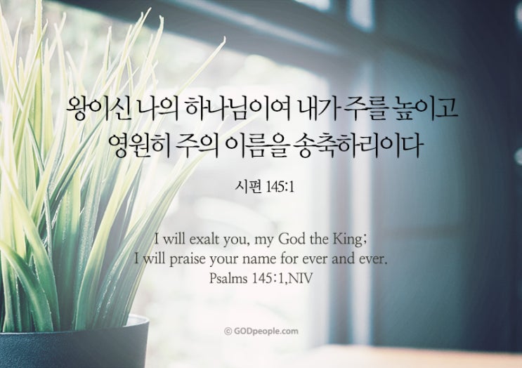  여호와는 노하기를 더디하시며(시145:1-21)