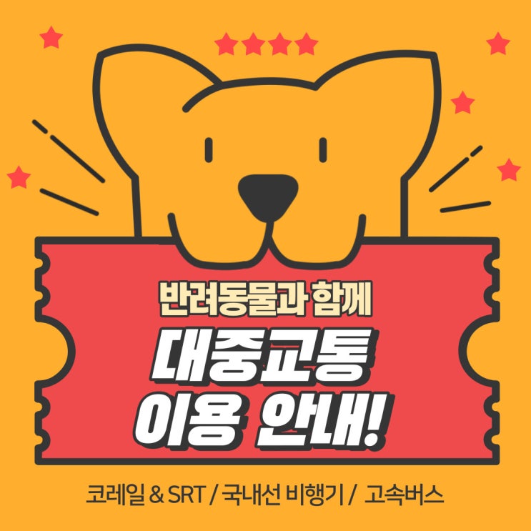  [반려동물과 함께하는 행복한 한가위] 대중교통 별 반려동물 탑승 규정 안내(코레일 & SRT, 국내선 비행기, 고속버스)