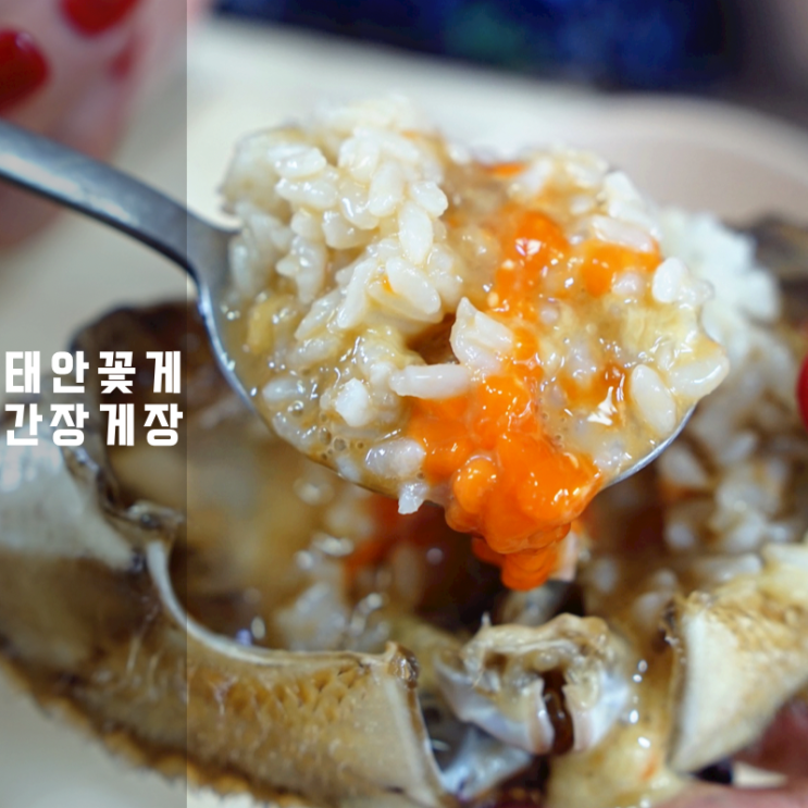  가을 꽃게철 안면도 태안 간장게장