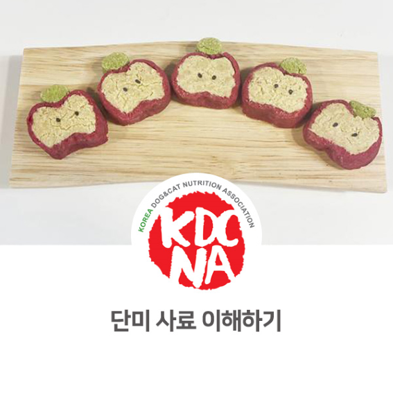  한국반려동물영양협회 최수연 총괄지회장이 알려주는 단미사료 [최수연펫푸드아카데미/애견수제간식창업/펫푸드자격증/수원/성남/평택_991]