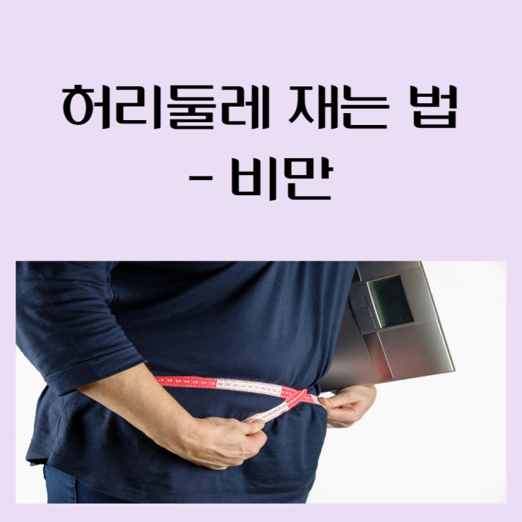 허리둘레로 알아보는 비만기준 - 허리둘레 계산기
