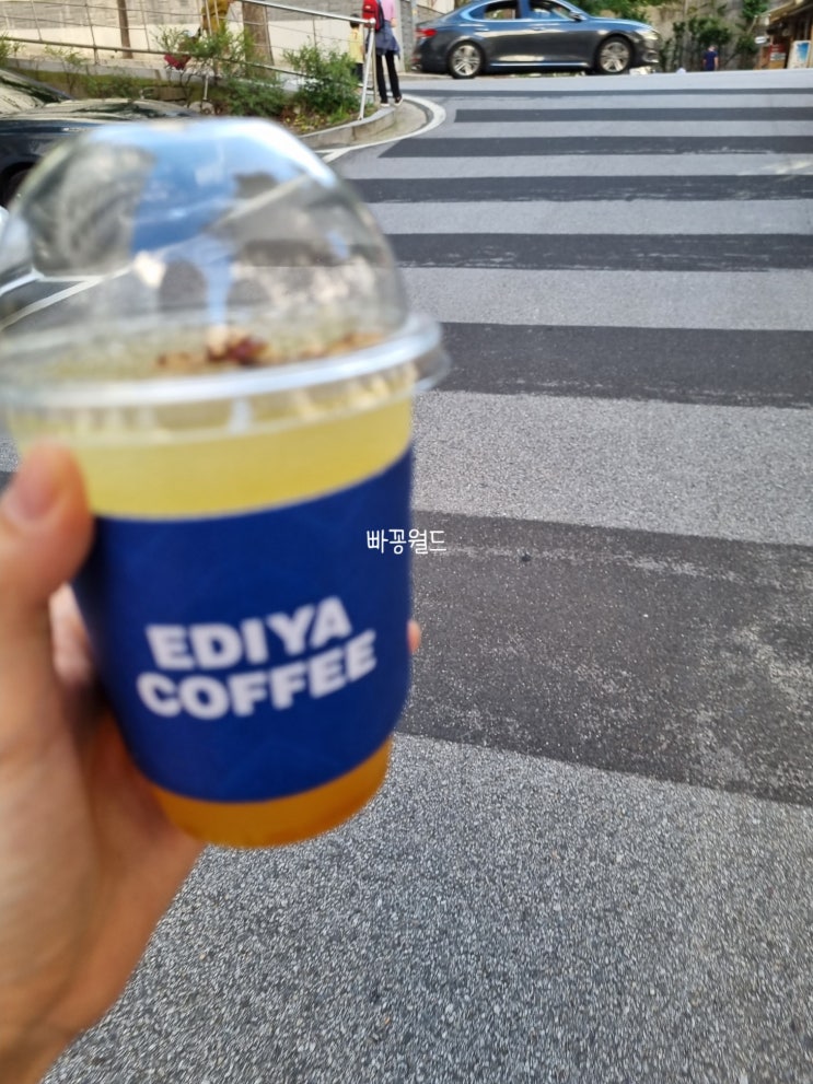  호기심천국
