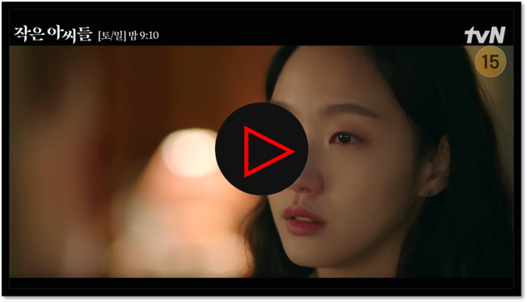 작은 아씨들 보러가기 12부작 tvN 드라마 재방송 다시보기 시청 편성표 등장인물관계도 작은 아씨들 보러가기 12부작 tvN 드라마 재방송 다시보기 시청 편성표 등장인물관계도