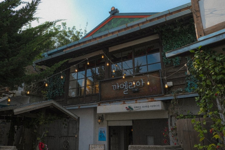  경북 포항 가볼만한 곳! <포항 핫플> 동백꽃필무렵 촬영지, 구룡포 일본인가옥거리
