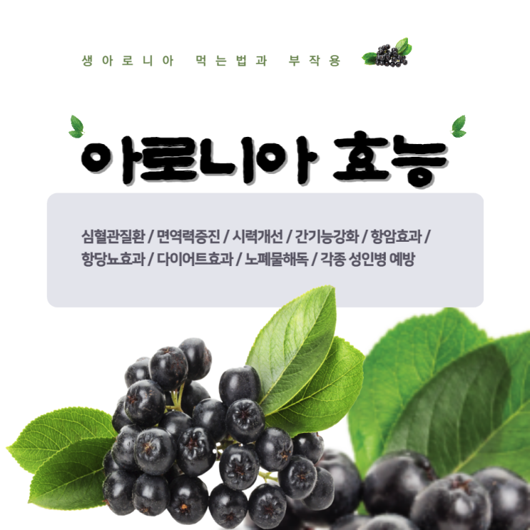 생아로니아 먹는법 아로니아 효능 10가지 부작용 주의 생아로니아 먹는법 아로니아 효능 10가지 부작용 주의