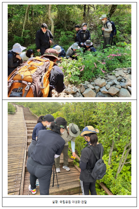 추석맞아 국립공원 야생화 꽃길 21곳 추천 추석맞아 국립공원 야생화 꽃길 21곳 추천