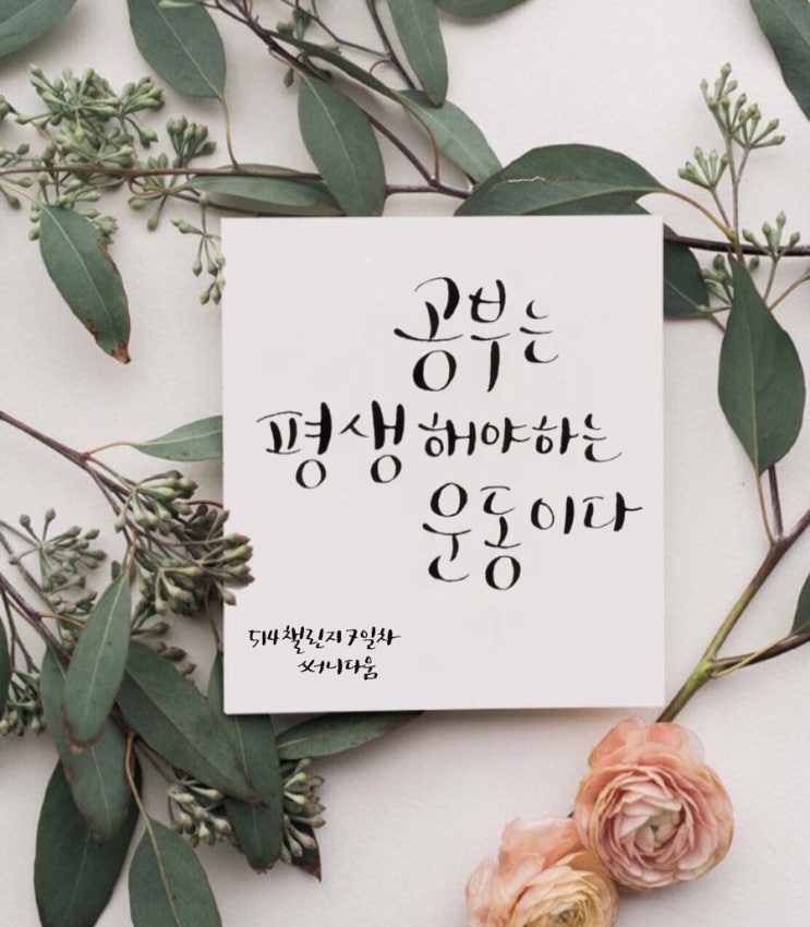  [손글씨] 공부는 평생해야하는 운동이다.