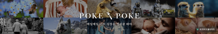  포크포크 (세계의 감동적인 실화 사연)